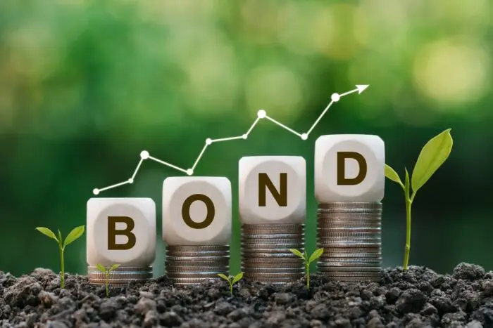 Are Probation And Bond The Same Thing