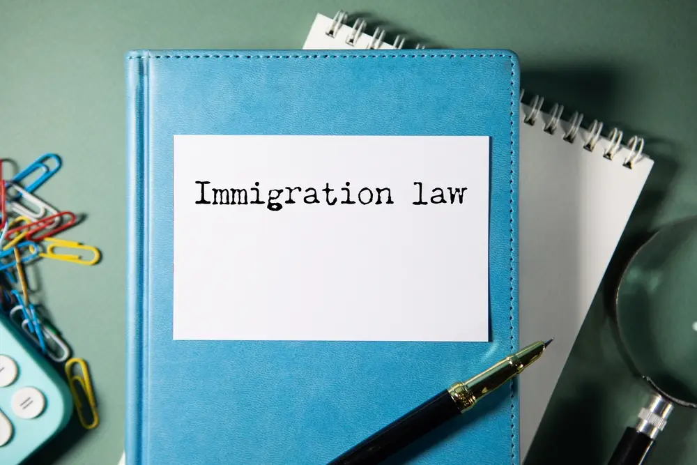 How To Know If Someone Is Detained By Immigration