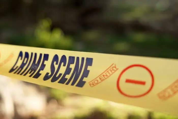 Is A Felony 1 Serious?