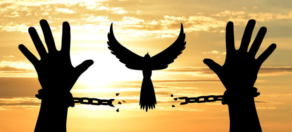 How Do I Get Someone Out of Sedgwick County Jail?